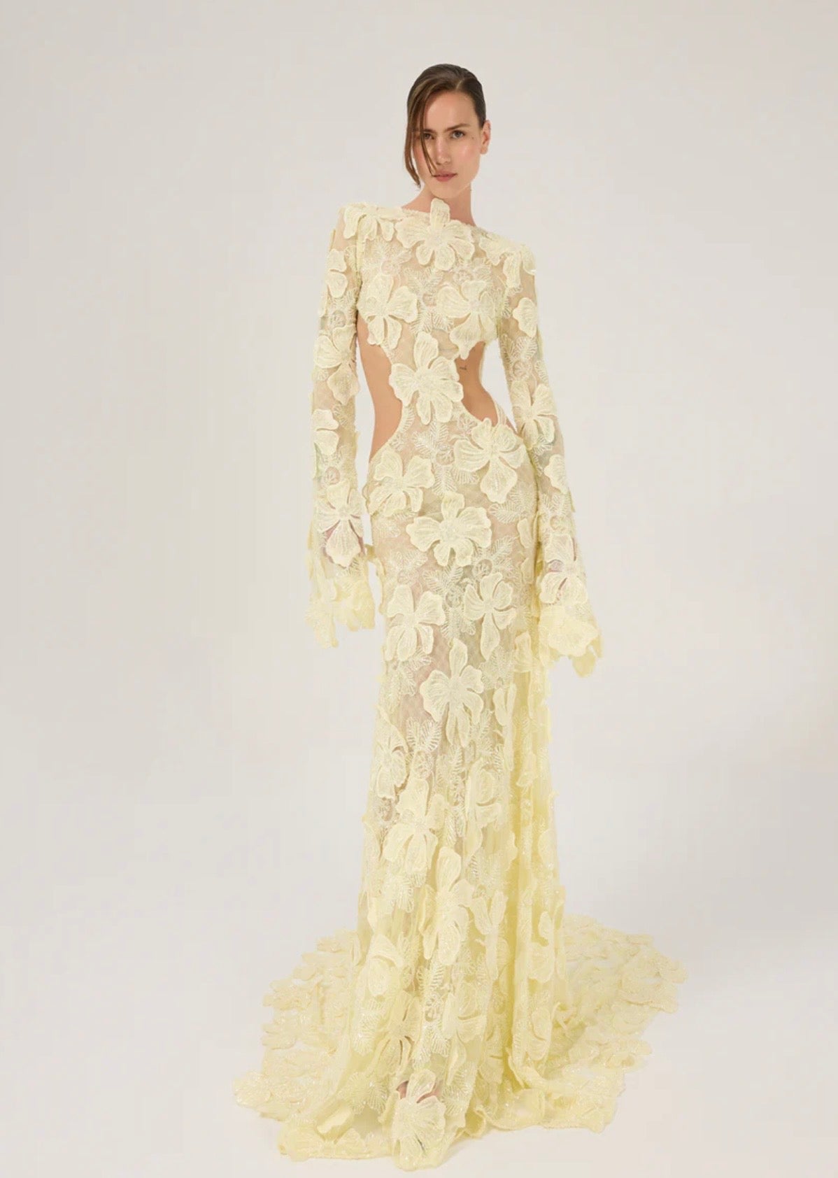 Light Yellow Maxi Dress with 3D Floral Embroidery