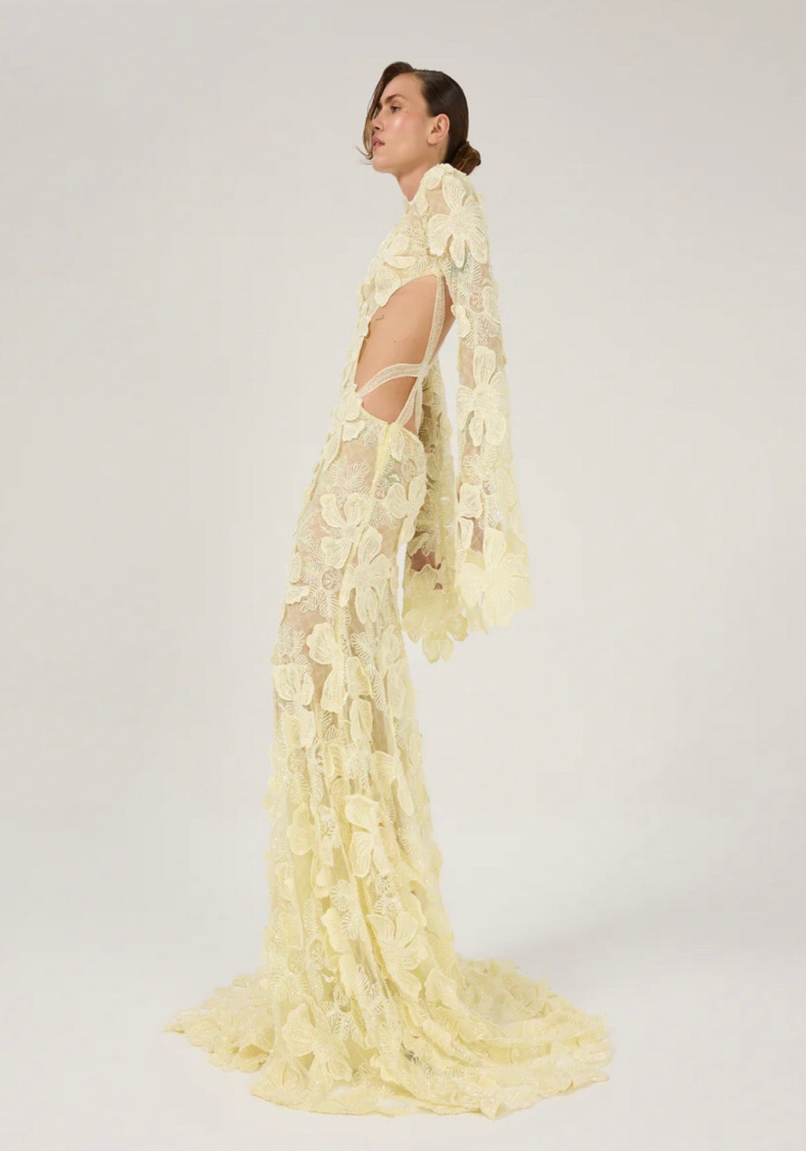 Light Yellow Maxi Dress with 3D Floral Embroidery