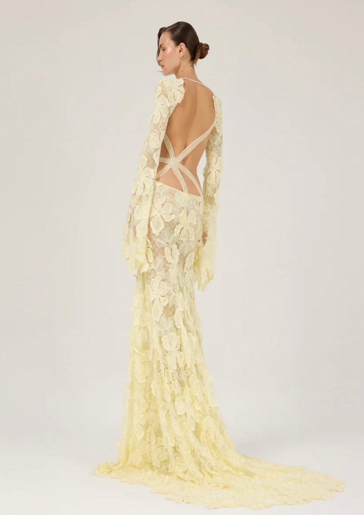 Light Yellow Maxi Dress with 3D Floral Embroidery