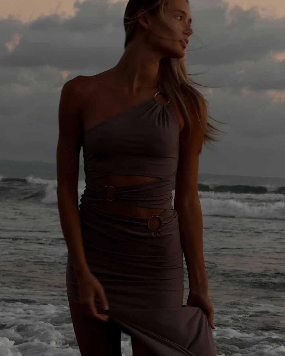 Gabriel Dress in Brown