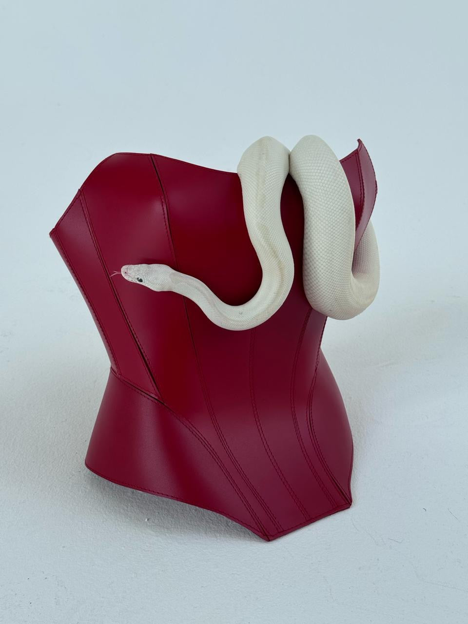 Corset Malifisenta rouge