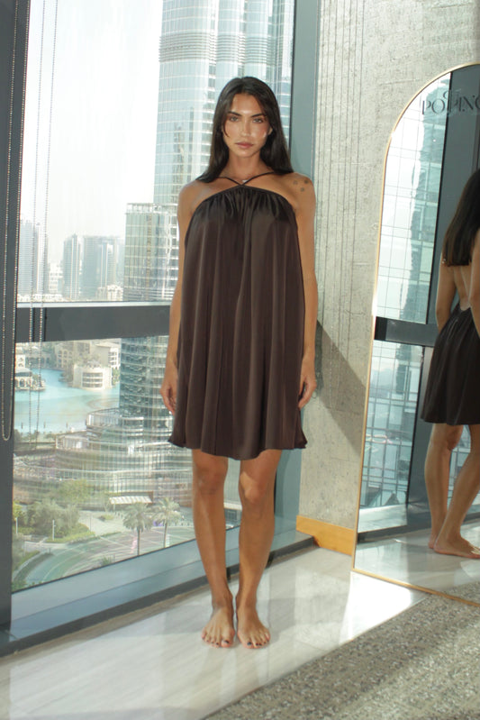 Silk Dress in Brown